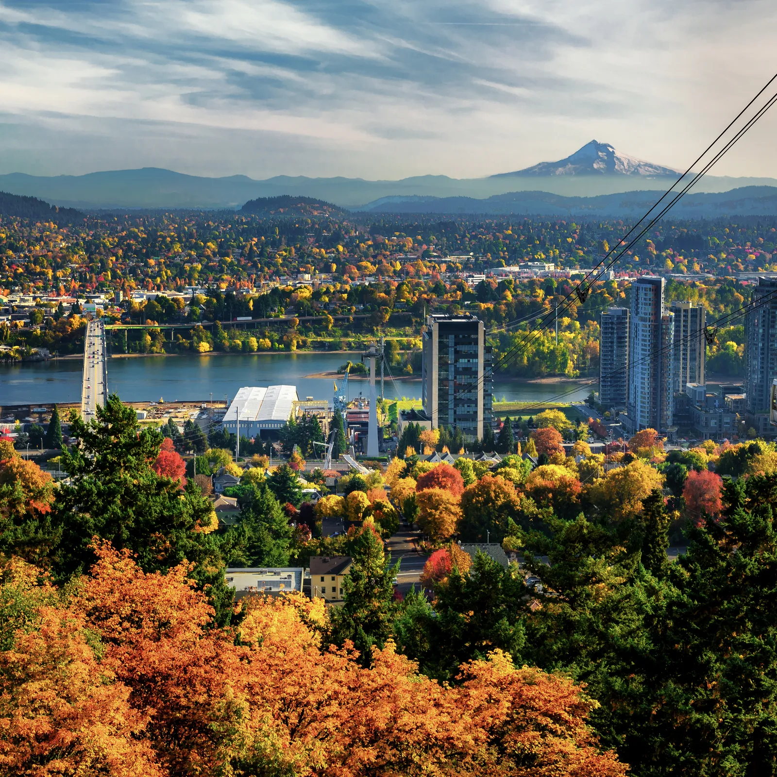 Embrace The Rose Cities Charm: Your Guide to Moving to Portland Oregon with Gerritz Realty Group