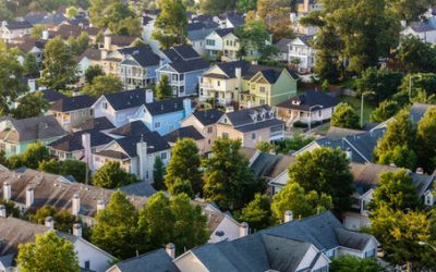 AN EARLY SPRING MARKET & SOME EXCITING UPDATES!