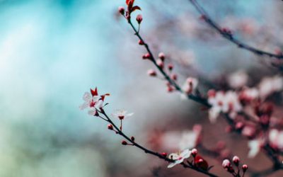 HOW TO USE SEASONALITY TO YOUR BENEFIT